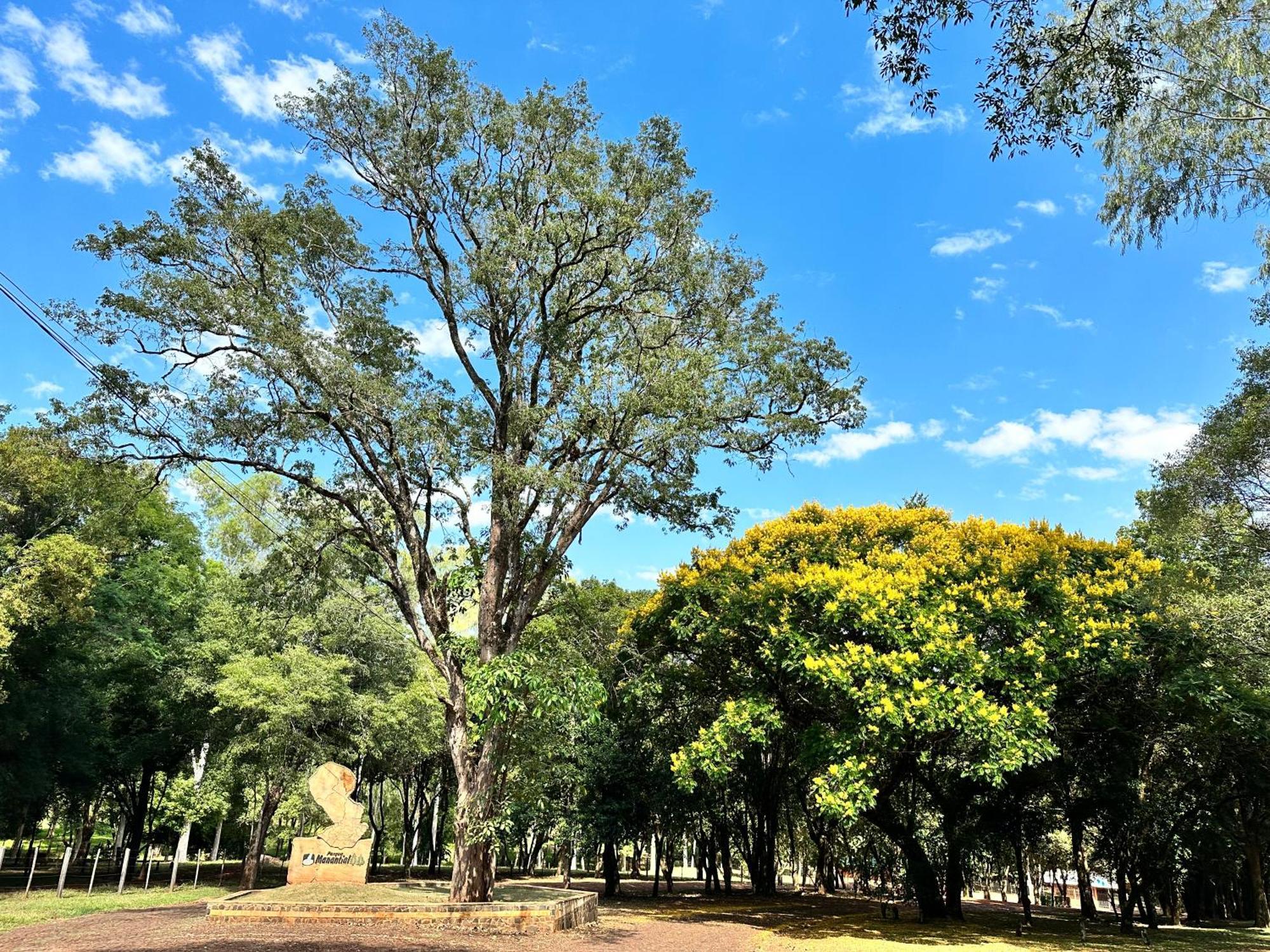 Parque Hotel Manantial Hohenau Esterno foto