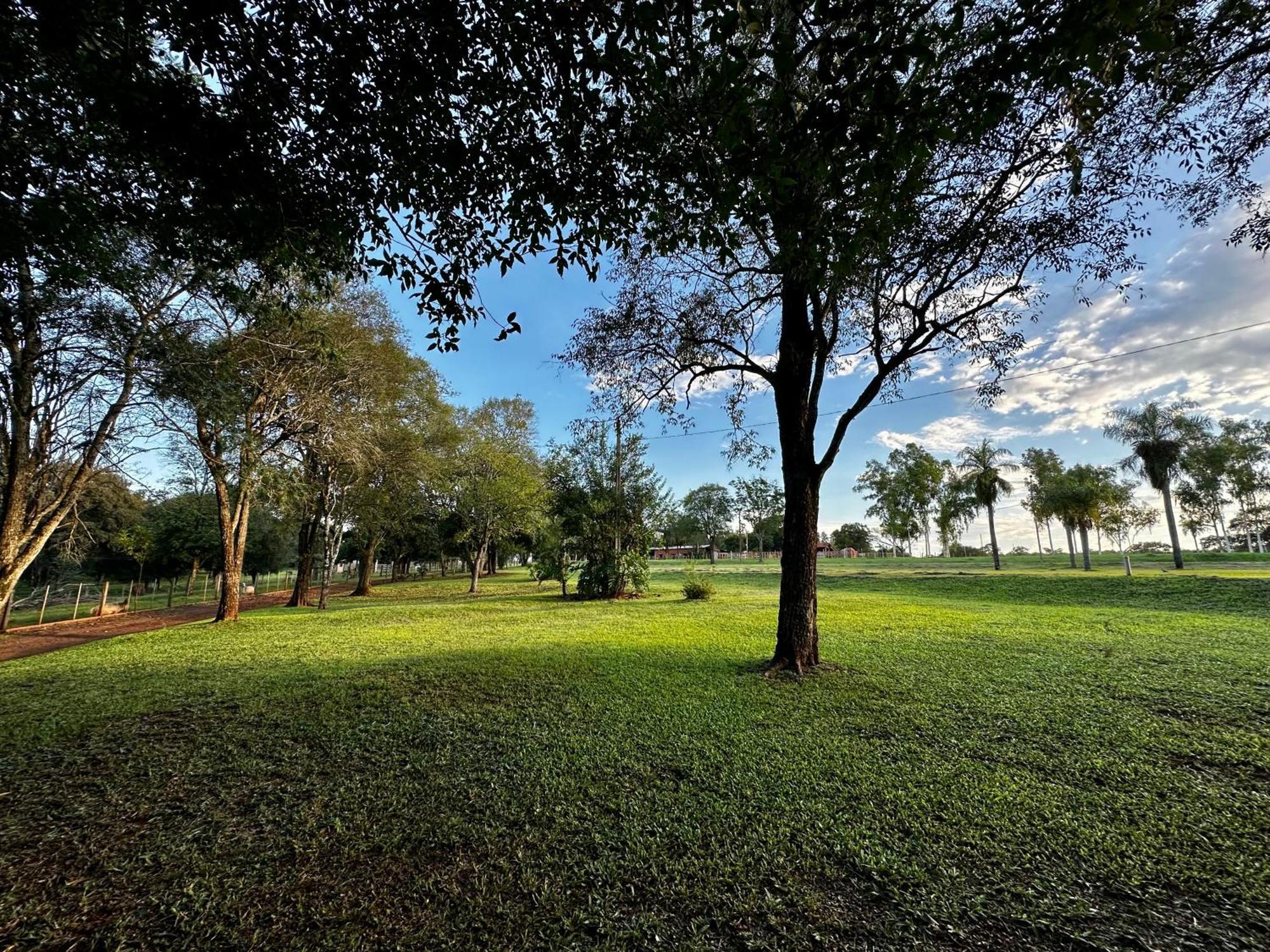 Parque Hotel Manantial Hohenau Esterno foto